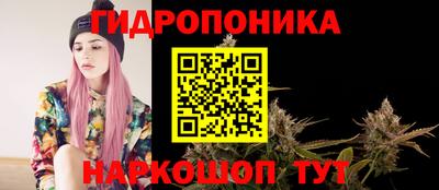 ПСИЛОЦИБИНОВЫЕ ГРИБЫ Гусев